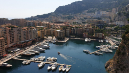 COVID-MAFIA : Like a Hurricane ? No, Just a Tsunami.