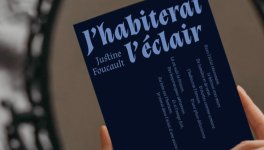 Recueil de poésie, j'habiterai l'éclair