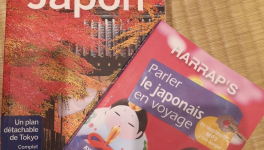 Nippon...Ni Mauvais !