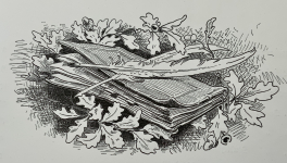 Alexandrine de Césure se trouve des chaussures...