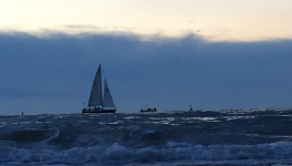 Éclats de mots ciselés