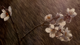 Jour sans, Jour avec ...