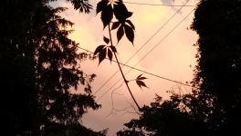 L'appel de l'extérieur