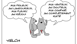 Les proverbes du confinement 1