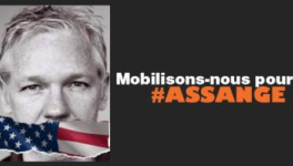 COV[O]ID : ENDRACE ("Fin de parcours")