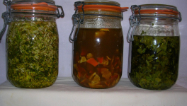 Les MÂCERATS HUILEUX 