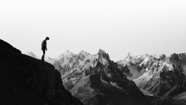 Il s'est suicidé,  le con.