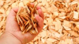 Jour numéro 12 : Déchiqueté