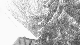 Première neige sur la Suisse normande ...