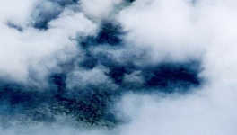 Covid-19, Etat de droit et arbitraire : quels garde-fous pour nos sociétés ?