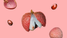 Litchi