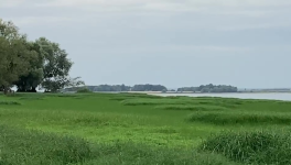 Catway 47 - Lac de la forêt d’Orient – Septembre