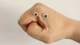 L'Afin des Dinosaures