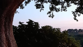 Un voyage sur la planète