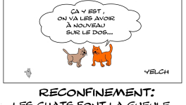 La gente féline n'apprécie pas le confinement