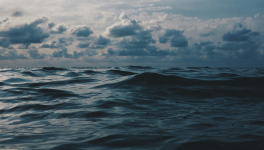 Le chant des sirènes