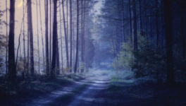 A la cueillette du bonheur 3/3