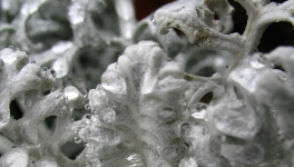 #LinkTober2025 : Vacant