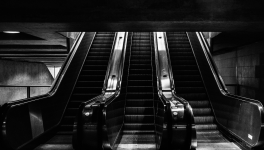 🤝🏻 Alliance souterraine