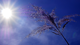 Pour quelques gouttes 