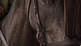 Ecurie Kevyn Thonnerieux : Nos partants dimanche à Lyon-la-Soie