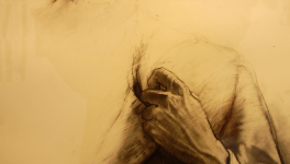 Retour dans les Ardennes de Rimbaud