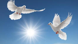 После вторжения в Украину обращение к русскому народу