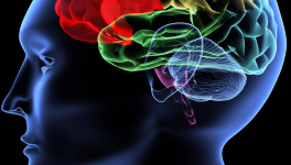 Conversation sur le plaisir d'être une cause.