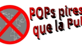 penser global, agir local 