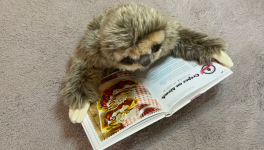 Questions Existentielles