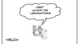 Rat de laboratoire