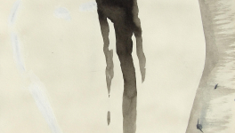 Carnets Dessins jeux de couleurs et d'ombres : 2016