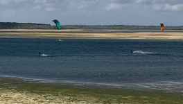 Coup de vent ce week-end sur le lac de la forêt d’Orient - tempête AMY