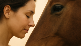 Le chemin de la rencontre avec soi