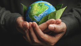 RCAE et assurance pour la protection environnementale des entreprises