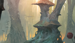 2022 - Février - Semaine 06