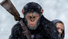 La Planète des Singes : Suprématie