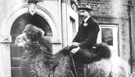 15 Regreso de las Indias