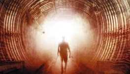 La Panse de Léo Henry