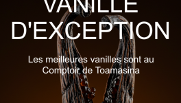 Quelle est la Meilleure Vanille du Monde ?" — Le Guide Ultime des "Grands Crus"