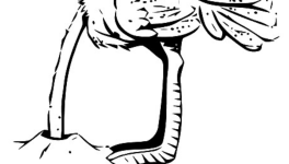 Metavers, autruche 3.0 