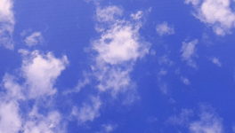 Le vœu de la gentille sirène