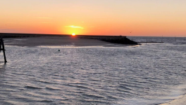 Roman-photo : “Aller voir ailleurs si j'y suis.”