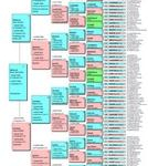 Chasseur…..d’ancêtres 