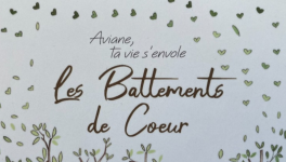 Court- métrage : Des îles et des volcans