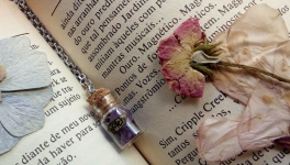 Pardonne-moi, mon amour