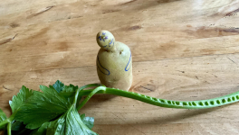 Le jardin du 13 Novembre