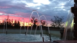 Comment la mondialisation a tué l'écologie, par Aurélien Bernier