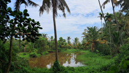 Retraite Ayurvédique à Maïthri Mandir
