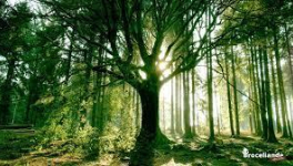 La garnison d'Alba (épisode 3) - Le secret d'Alba